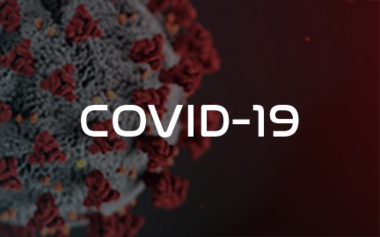 Vacinação COVID19 e Doentes Transplantados – Parecer SPT – Informação a Associações e Doentes Transplantados